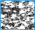 diamond plate mat
