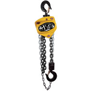 hoist and trolley
